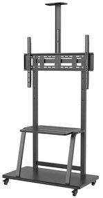 Βάση Τηλεόρασης Aisens FT100E-135 37" 100"