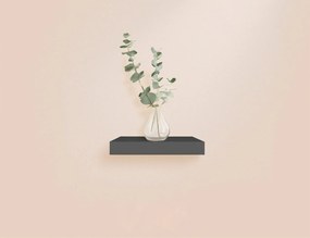 ΡΑΦΙΈΡΕΣ/ΡΆΦΙΑ ΤΟΊΧΟΥ FLOATING SHELF MDF L25*22,8CM BLACK 6RAN790NR