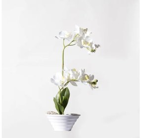 Τεχνητό Φυτό Ορχιδέα Phalaenopsis Real Touch Λευκή με Κασπώ 35 εκ. 5070-6 Supergreens-5070-6-Λευκό 5070-6