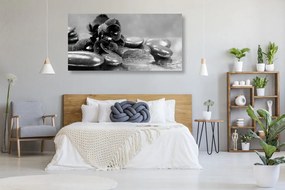Εικόνα ορχιδέας με μια πινελιά χαλάρωσης σε ασπρόμαυρο - 100x50