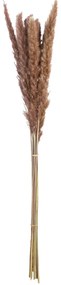 Δέσμη Pampas Grass Sinthetical Brown ?X?X70Cm N/A