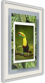 Αφίσα - Toucan in the Frame - 30x45 - Χρυσό - Χωρίς πασπαρτού