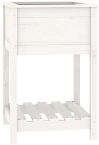 vidaXL Ζαρντινιέρα με Ράφι Λευκή 54 x 54 x 81 εκ. Μασίφ Ξύλο Πεύκου