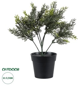 Artificial Garden LEMON CYPRESS 20389 Τεχνητό Διακοσμητικό Φυτό Λεμονόκυπάρισσο Υ30cm