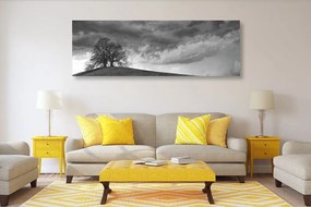 Εικόνα ασπρόμαυρα μοναχικά δέντρα - 120x40