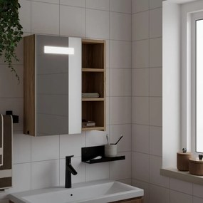 Καθρέφτης Μπάνιου με Ντουλάπι &amp; LED Αν. Δρυς 45 x 13 x 52 εκ. - Καφέ