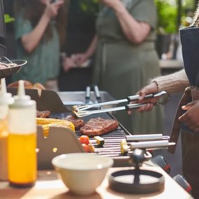 GRILLTIDER εργαλεία ψησταριάς, σετ 2 τεμ. 305.647.19