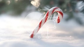 Intra Συλλεκτικό Ξύλινο Παζλ Plywood 4mm - Κόκκινο και άσπρο ζαχαροκάλαμο στο χιόνι Σε Ξύλινο Κουτί - Διαστάσεις: 10x10 cm – 25 κομμάτια