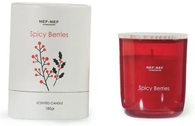 ΑΡΩΜΑΤΙΚΟ ΚΕΡΙ SPICY BERRIES 180gr 5205495533919