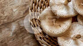 Σετ των 2 Intra Συλλεκτικό Ξύλινο Παζλ Plywood  4mm - Ψάθινο καλάθι με λευκά μανιτάρια Σε Ξύλινο Κουτί - Διαστάσεις: 10x10 cm – 25 κομμάτια