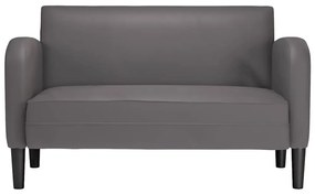 Καναπές Loveseat Γκρι 110 εκ. Συνθετικό δέρμα - Γκρι