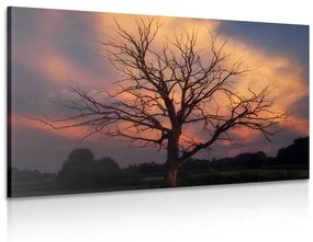 Εικόνα όμορφο δέντρο στο λιβάδι - 120x80