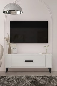 Stewehome Μοντέρνο έπιπλο τηλεόρασης με ντουλάπι 120x26x48 cm