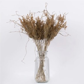 Μπουκέτο Αποξηραμένο Ferngrass 36556 60cm (Ακαθόριστος Αριθμός Τμχ) Beige Globostar