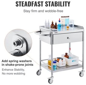 VEVOR Medical Cart, 2 Layers Stainless Steel Cart 220 lbs Weight Capacity,  Lab Utility Cart with 360° Silent Wheels and a Drawer for Lab, Clinic, Kitchen, Salon