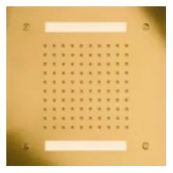 Almar Gold Brushed PVD Κεφαλή Χρωματοθεραπείας εντοιχισμού οροφής 1 ροής