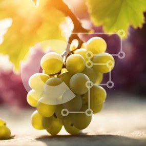 Σετ των 2 Intra Συλλεκτικό Ξύλινο Παζλ Plywood 4mm - Ώριμα πράσινα σταφύλια σε ένα αμπέλι Σε Ξύλινο Κουτί - Διαστάσεις: 10x10 cm – 25 κομμάτια