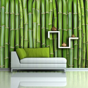 Φωτοταπετσαρία - Bamboo wall 450x270
