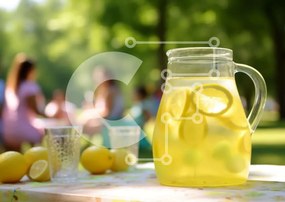 Σετ των 2 Intra Συλλεκτικό Ξύλινο Παζλ Plywood 4mm - Λεμονάδα στάμνα στο πάρκο Σε Ξύλινο Κουτί - Διαστάσεις: 10x10 cm – 25 κομμάτια