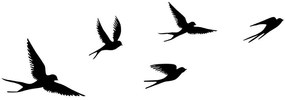 Διακοσμητικό Τοίχου Crow (Σετ 5Τμχ) 279ENZ2593 33x22,5/13,5x17/16x10/23,5x15,5/17x10cm Black Wallity Μέταλλο