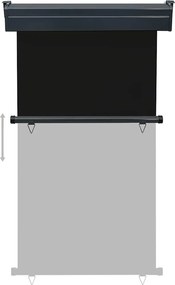 vidaXL Σκίαστρο Βεράντας Πλαϊνό Μαύρο 105 x 250 εκ.