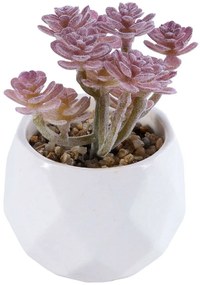 Τεχνητό Φυτό Σε Κασπώ Sedum 20988 Φ9,5x10cm Champagne-White GloboStar Clay,Polyethylene