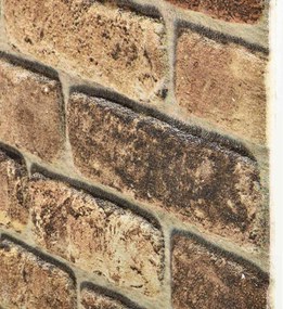 vidaXL Πάνελ τοίχου 10 pcs Σκούρος Άμμος 100 x 50 cm Αφρός EPS