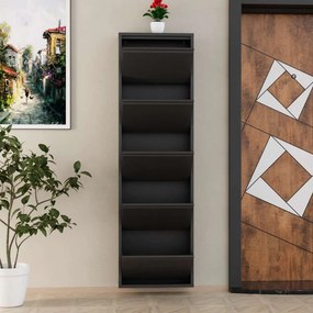 Παπουτσοθήκη Ανθρακί ABREPRI 50x15x169
