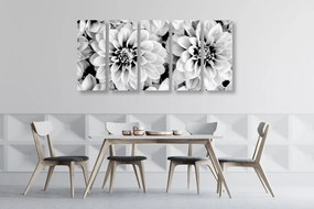Εικόνα 5 τμημάτων λουλούδια ντάλια σε ασπρόμαυρο - 100x50