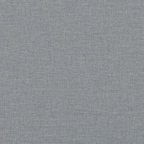 vidaXL Καναπές 2 pcs Ανοιχτό γκρι