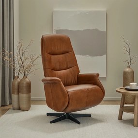Delta Recliner Tan Leather/Black