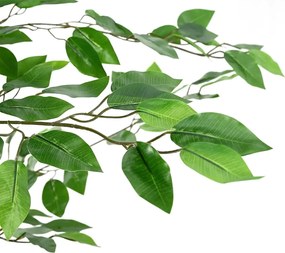 vidaXL Τεχνητό φυτό Φίκος 2016 Κλαδιά Πράσινο 300 εκ.