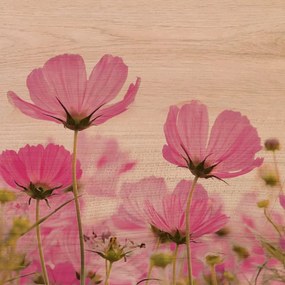 Pink Flower πίνακας διακόσμησης 29 x 29 x 0,60 εκ (21361) - MDF - 21361