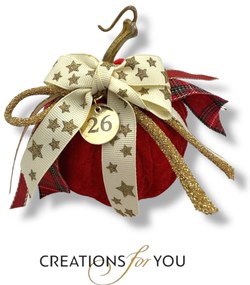 Κολοκύθα κόκκινο ανοιχτό βελούδινη μεσαία - Ασημί