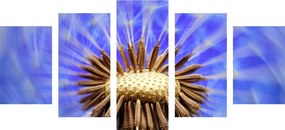 Εικόνα 5 μερών πικραλίδες σε μωβ - 100x50