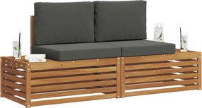 vidaXL Σειρά Καναπέ Εξωτερικού 2 Τεμάχιο Φυσικό και Ανθρακί