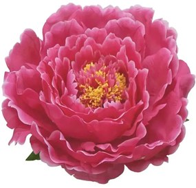 Τεχνητή Κρεμαστή Παιώνια 00-23860-50-3 Φ50cm Fuchsia Marhome Ύφασμα,Πλαστικό