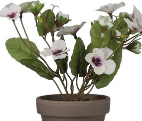 Τεχνητό Λουλούδι Σε Γλάστρα (Φ20x19) Edelman Pansy 1079803
