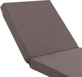 ΜΑΞΙΛΑΡΙ ΞΑΠΛΩΣΤΡΑΣ POLYESTER SIFNOS ΓΚΡΙ HM11235.10P 190x70x11 εκ.