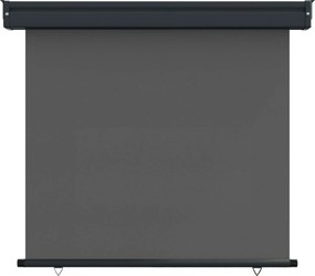 vidaXL Αυλούπα Πλευράς Μπαλκονιού 80 x 250 cm