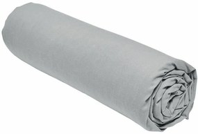 Τοποθετημένο κάτω φύλλο TODAY Γκρι 160 x 200 cm