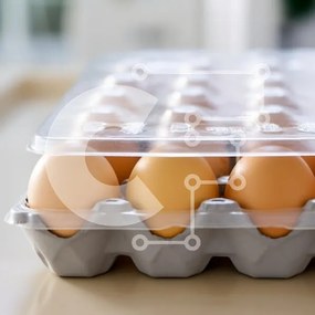 Σετ των 2 Intra Συλλεκτικό Ξύλινο Παζλ Plywood 4mm - Κουτί με φρέσκα αυγά Σε Ξύλινο Κουτί - Διαστάσεις: 10x10 cm – 25 κομμάτια