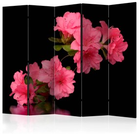 Διαχωριστικό με 5 τμήματα - Azalea in Black II [Room Dividers]