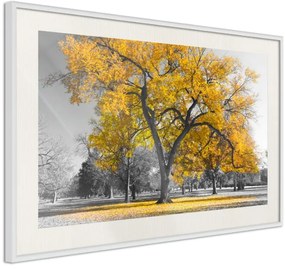 Αφίσα - Golden Tree - 60x40 - Χρυσό - Με πασπαρτού