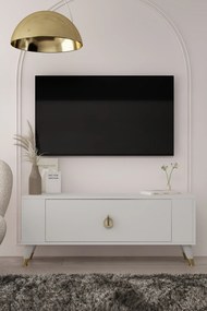 Stewehome Μοντέρνο έπιπλο τηλεόρασης με ντουλάπι 120x26x48 cm