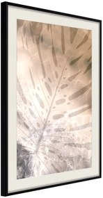 Αφίσα - Monstera of Dreams - 40x60 - Μαύρο - Με πασπαρτού