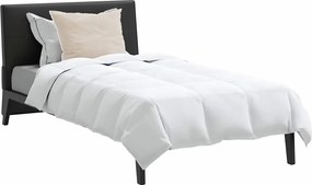 vidaXL Χειμερινό Παπλωματοθήκη με μαξιλάρι 2 pcs Λευκό Φτέρος