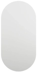 vidaXL Καθρέφτης με Φώτα LED 40x20 εκ. Γυαλί Οβάλ