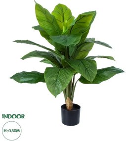 Artificial Garden ROHDEA JAPONICA 20068 Τεχνητό Διακοσμητικό Φυτό Ιαπωνέζικη Ροδέα Υ80cm Globostar-20068-Πράσινο 20068