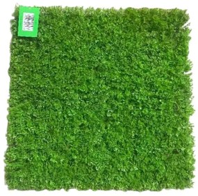 Supergreens Τεχνητή Φυλλωσιά Φτέρη Ανοιχτή Πράσινη 50x50 εκ